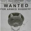 "I Am Not The Catwoman," Wails Convicted Robber